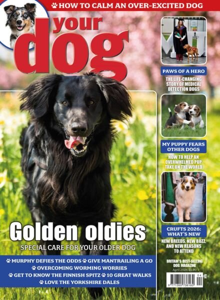 Your Dog – April 2026 Cover