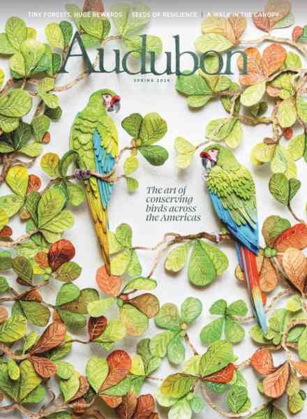 Audubon Magazine – Spring 2026 Cover