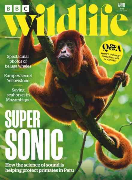 BBC Wildlife – April 2026 Cover