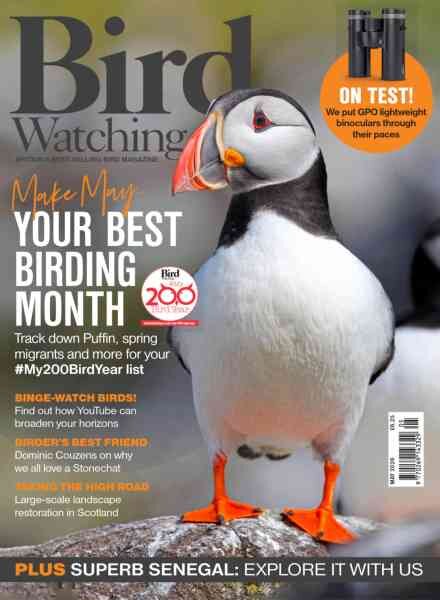 Bird Watching UK – May 2026 Cover