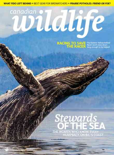 Canadian Wildlife – May-June 2026 Cover