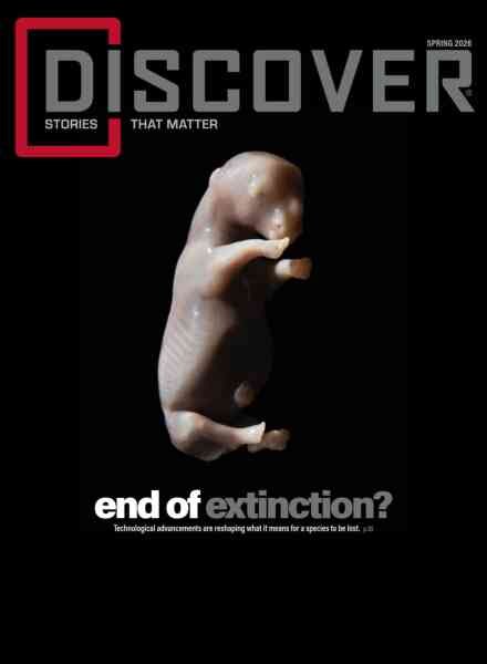 Discover – Spring 2026 Cover