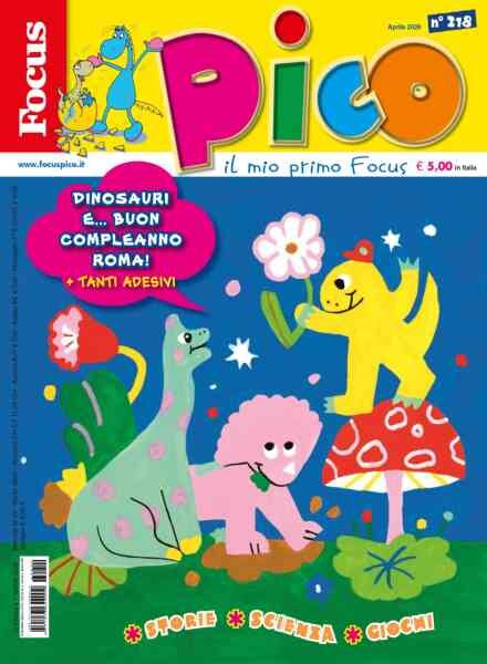 Focus Pico – Aprile 2026 Cover