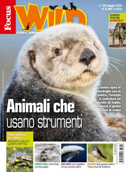 Focus Wild – Maggio 2026 Cover