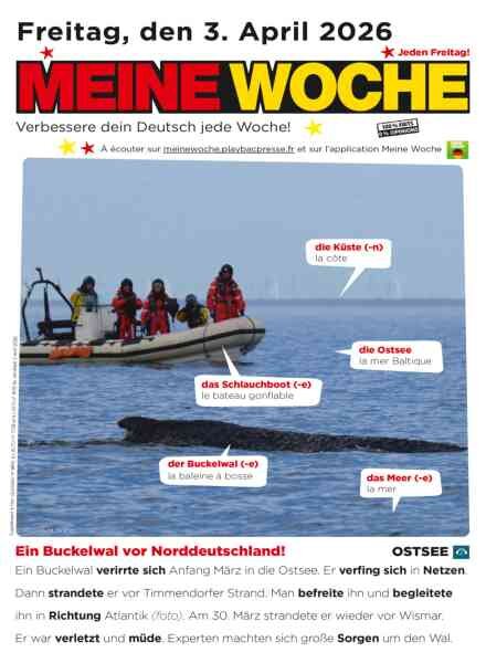 Meine Woche – 2 April 2026 Cover