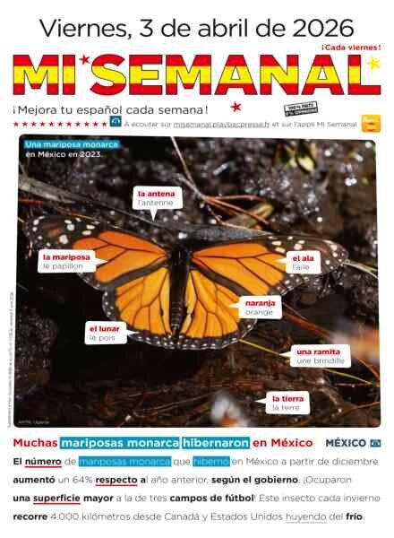 Mi Semanal – 3 Abril 2026 Cover