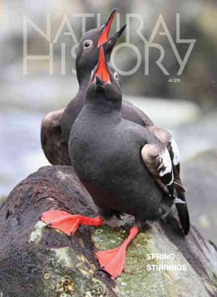 Natural History – April 2026 Cover