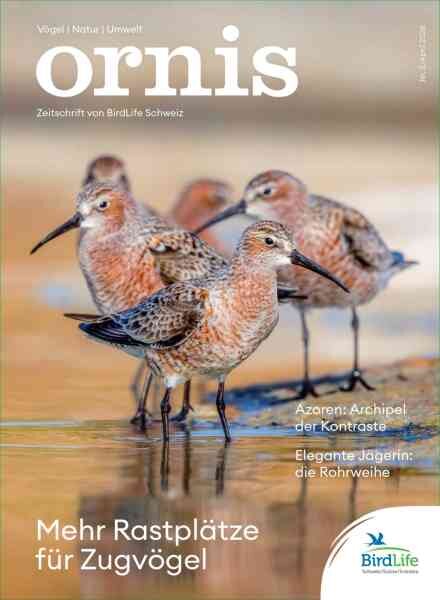 Ornis – April 2026 Cover