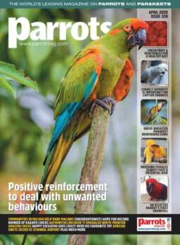 Parrots – April 2026