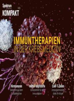 Spektrum Kompakt – 13 April 2026
