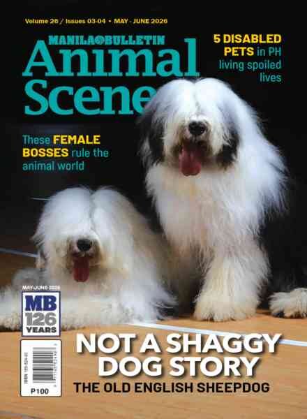 Animal Scene – May-June 2026 Cover