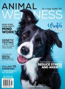 Animal Wellness – February-March 2020