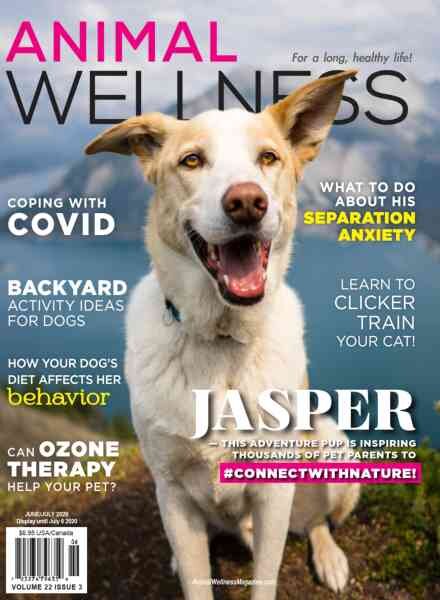 Animal Wellness – June-July 2020 Cover