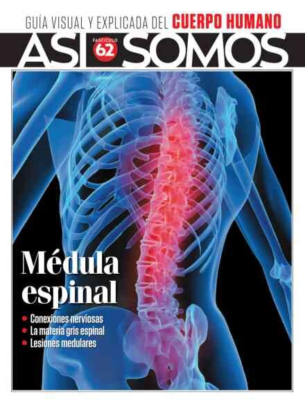 Asi Somos El cuerpo humano – Mayo 2026 Cover