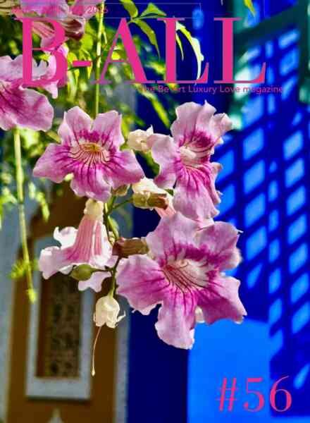 B-ALL Magazine – Mars-Mai 2026 Cover