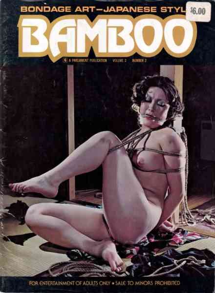 Bamboo – Volume 2 Number 2 November-December 1976 Cover