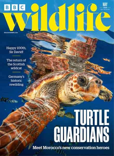 BBC Wildlife – May 2026 Cover