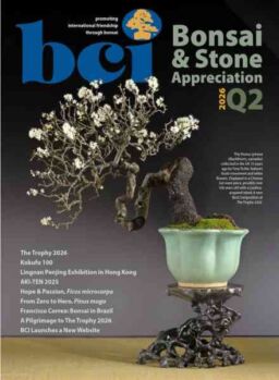 BCI Bonsai & Stone Appreciation Magazine – Volume 65 Number 2 2026