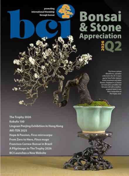 BCI Bonsai & Stone Appreciation Magazine – Volume 65 Number 2 2026 Cover