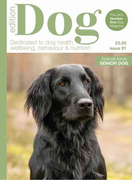Edition Dog – Issue 91 2026 Cover