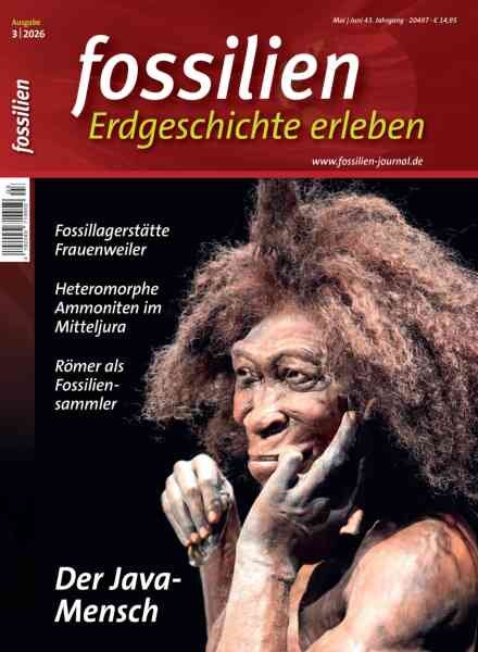 Fossilien – Mai-Juni 2026 Cover