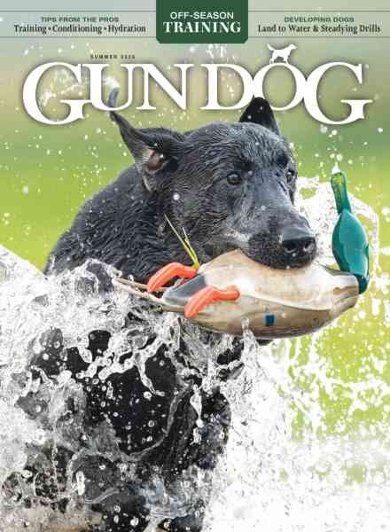 Gun Dog – June-July-August 2026 Cover