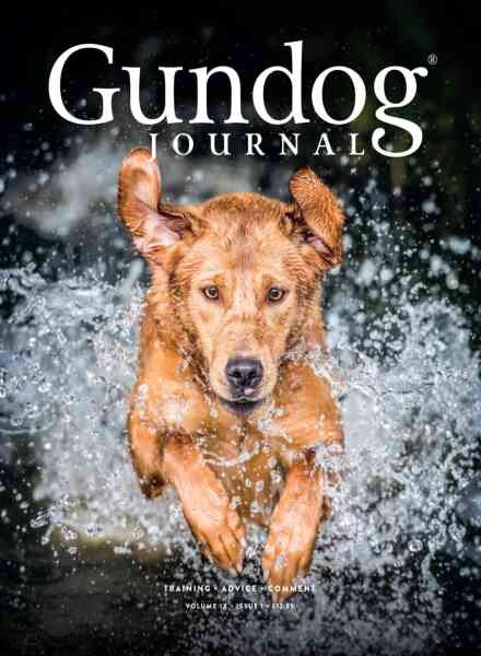 Gundog Journal – Volume IX Issue I 2026 Cover