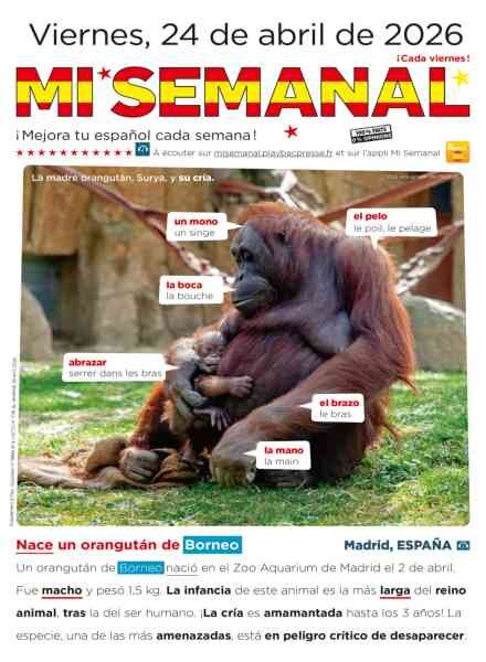 Mi Semanal – 24 Abril 2026 Cover