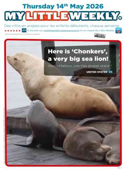 My Little Weekly – 15 Mai 2026 Cover