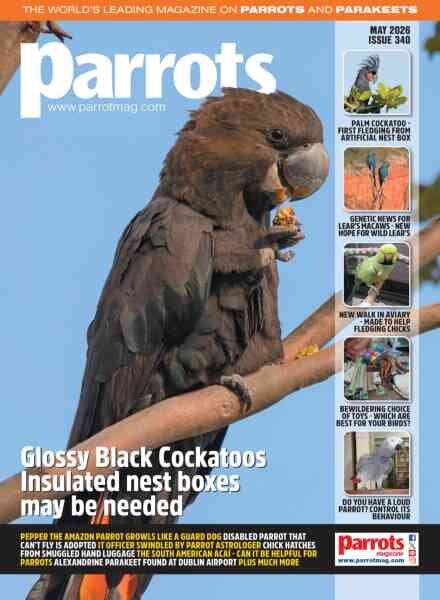 Parrots – May 2026 Cover