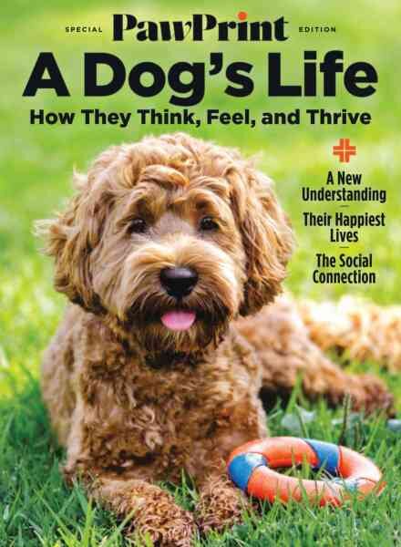 Pawprint Special Edition – A Dog’s Life 2026 Cover