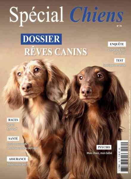 Special Chiens – Fevrier 2026 Cover