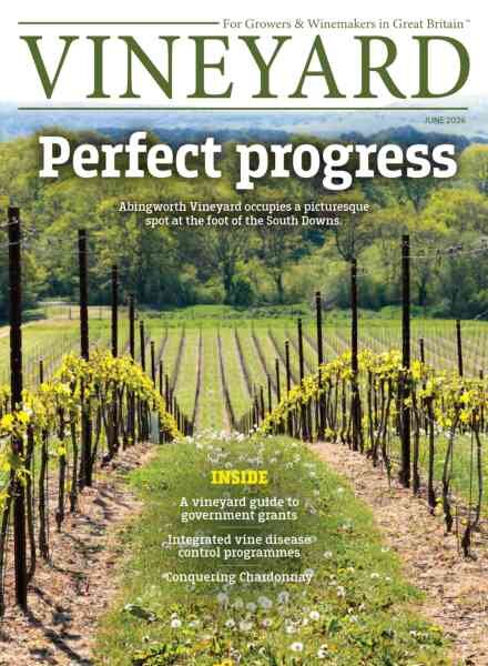 Vineyard – June 2026 Cover