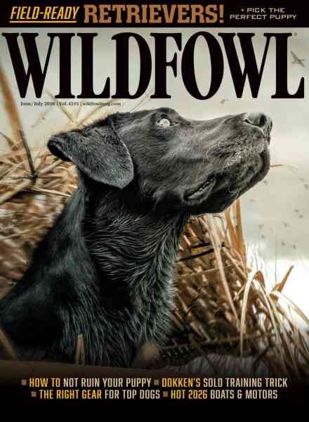 Wildfowl – June-July 2026 Cover