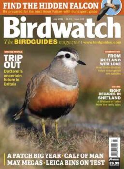 Birdwatch UK – July 2026