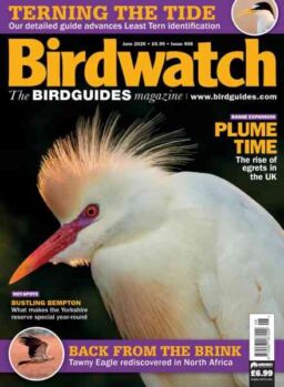 Birdwatch UK – June 2026