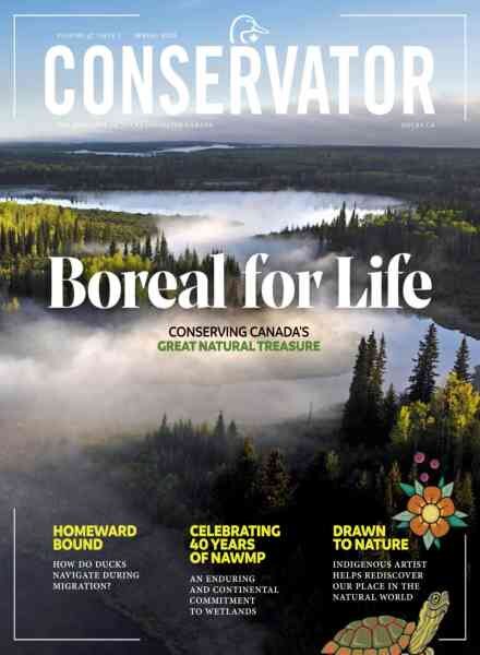Conservator – Spring 2026 Cover