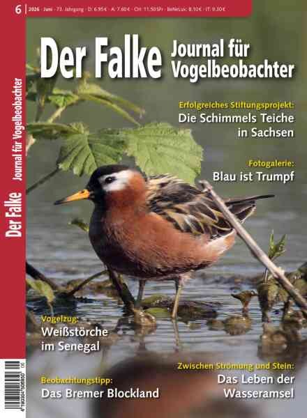 Der Falke Journal fur Vogelbeobachter – Juni 2026 Cover