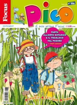 Focus Pico – 6 Giugno 2026
