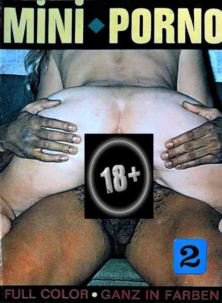 Mini-Porno – N 2 Cover