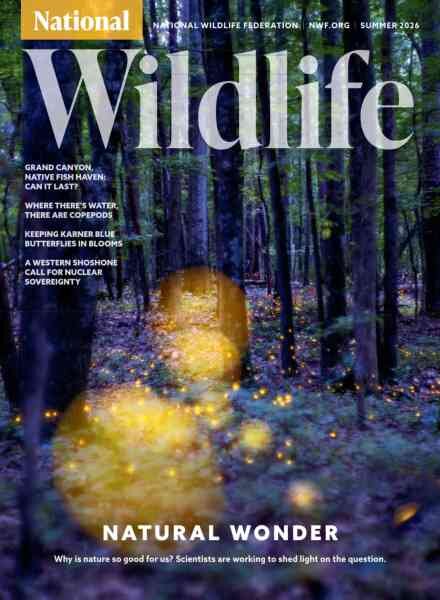 National Wildlife – Summer 2026 Cover