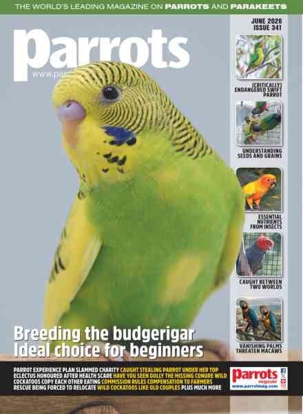 Parrots – June 2026 Cover