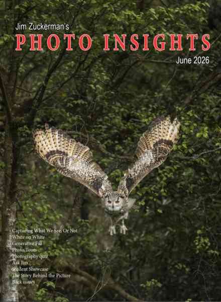 Photo Insights – June 2026 Cover