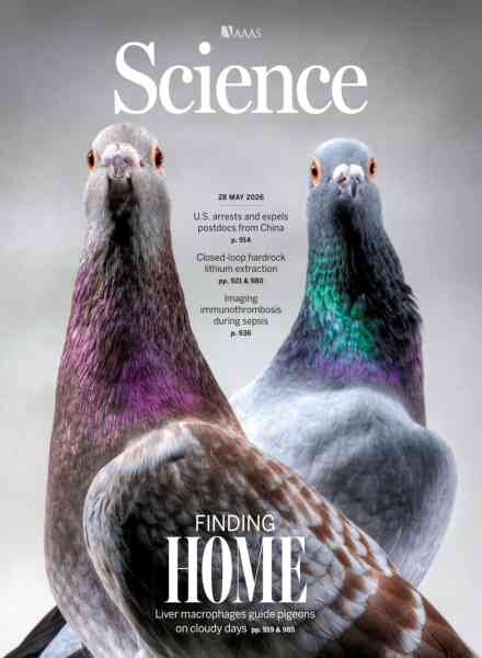 Science – 28 May 2026 Cover