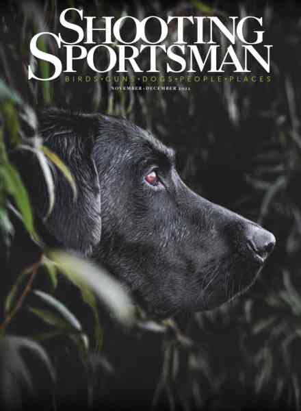 Shooting Sportsman – November-December 2022 Cover