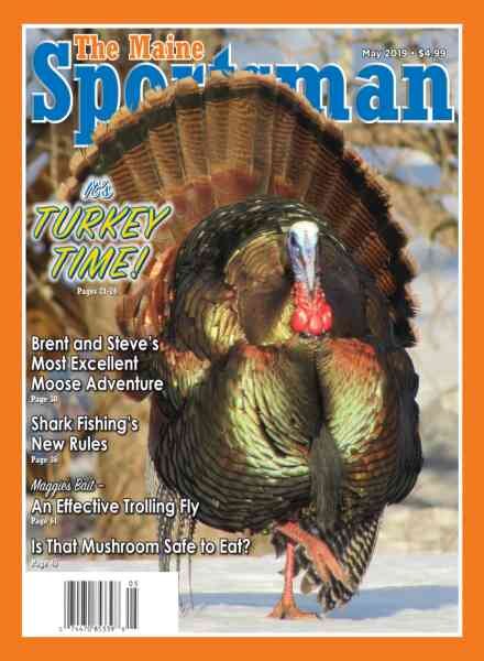 The Maine Sportsman – May 2019 Cover