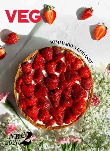 Vego – Juni 2026 Cover