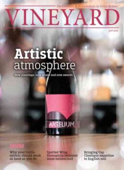 Vineyard – July 2026