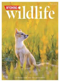 Wyoming Wildlife – May 2026
