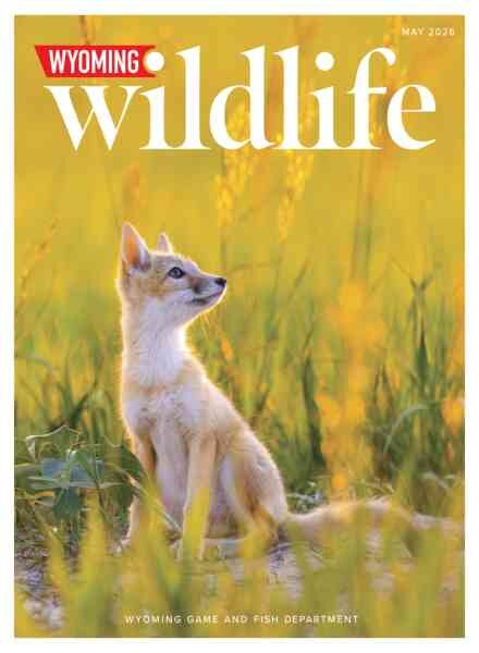 Wyoming Wildlife – May 2026 Cover